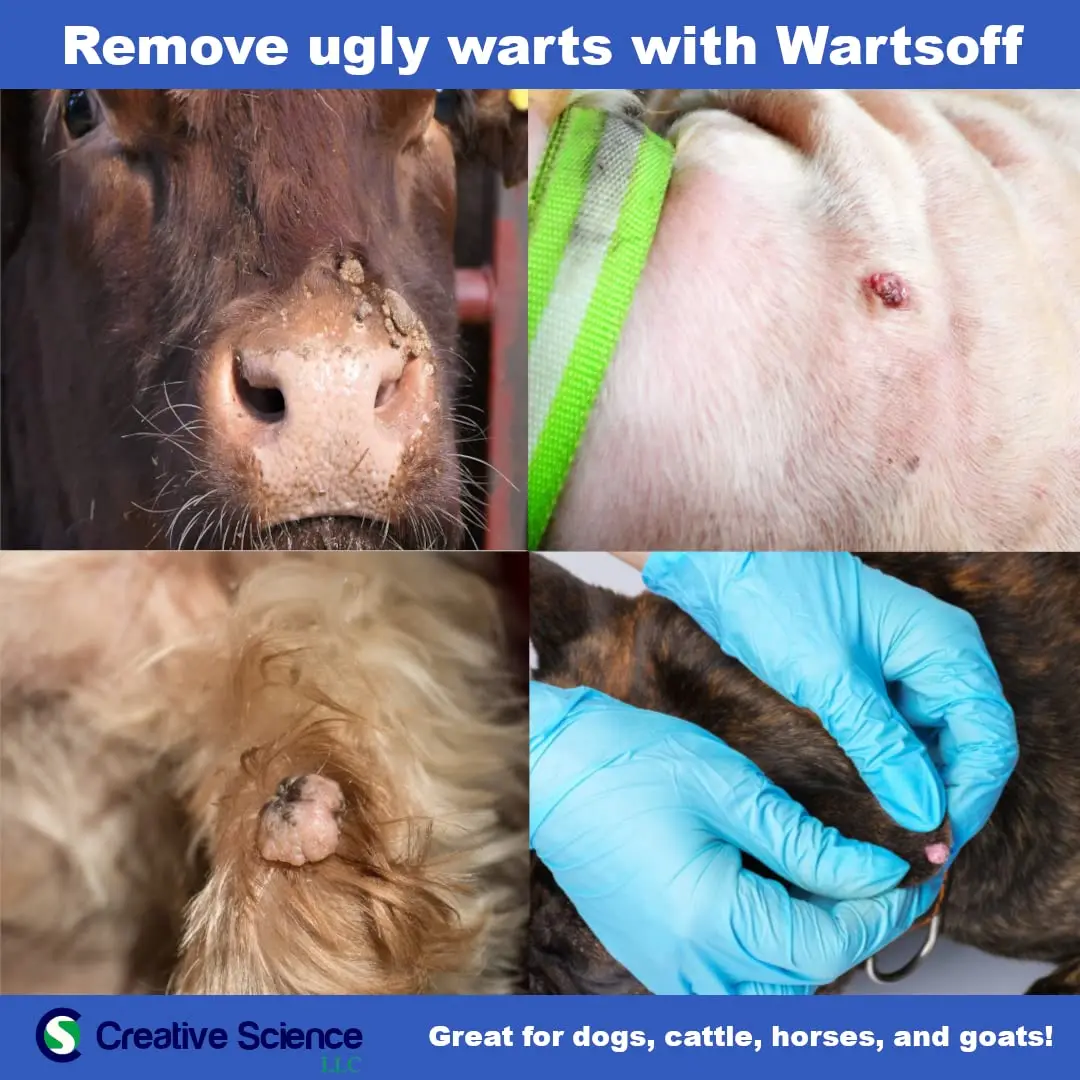 Creative Science WARTSOFF WART Dog and Horse Ointment 4-OZ Jar | Wart Removal for Dogs & Horses - view 4