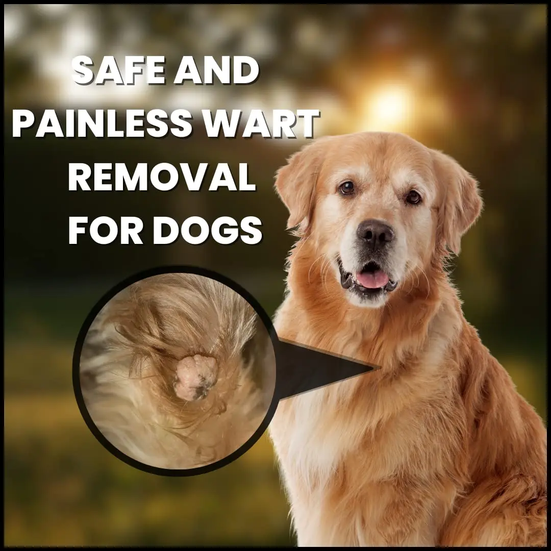 Creative Science WARTSOFF WART Dog and Horse Ointment 4-OZ Jar | Wart Removal for Dogs & Horses - view 6