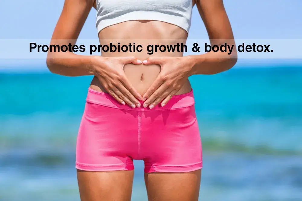 DrFormulas Nexabiotic Multi Probiotic 60 Count Capsules | 34.5 Billion CFUs for Digestive Health - view 5