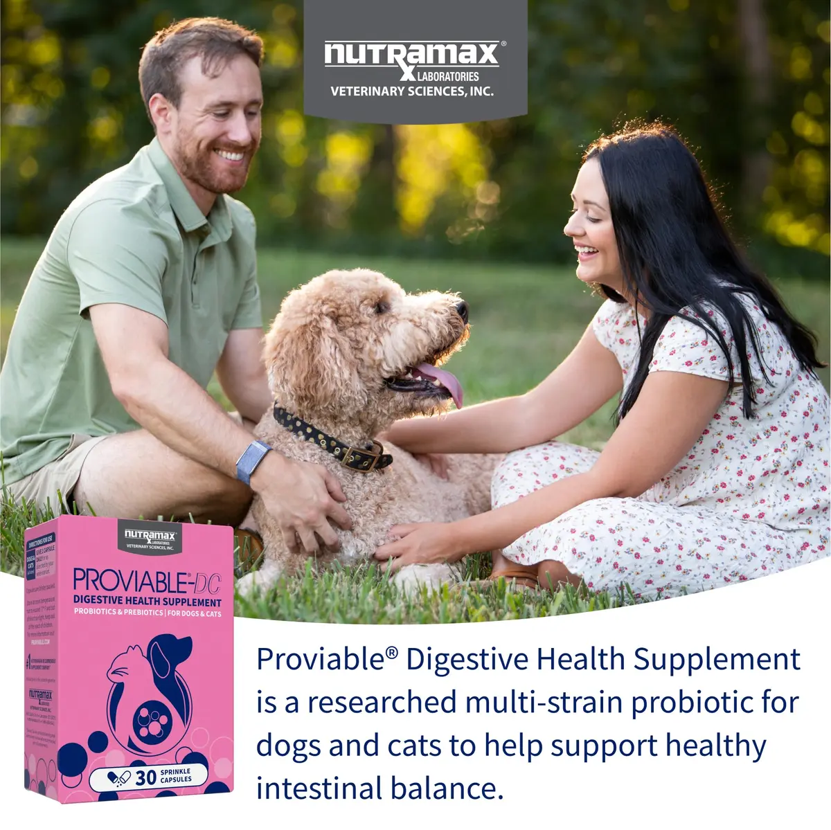 Nutramax Proviable Probiotics for Dogs & Cats Sprinkle Capsules 30 Count | Multi-Strain Gut Health Support - view 3