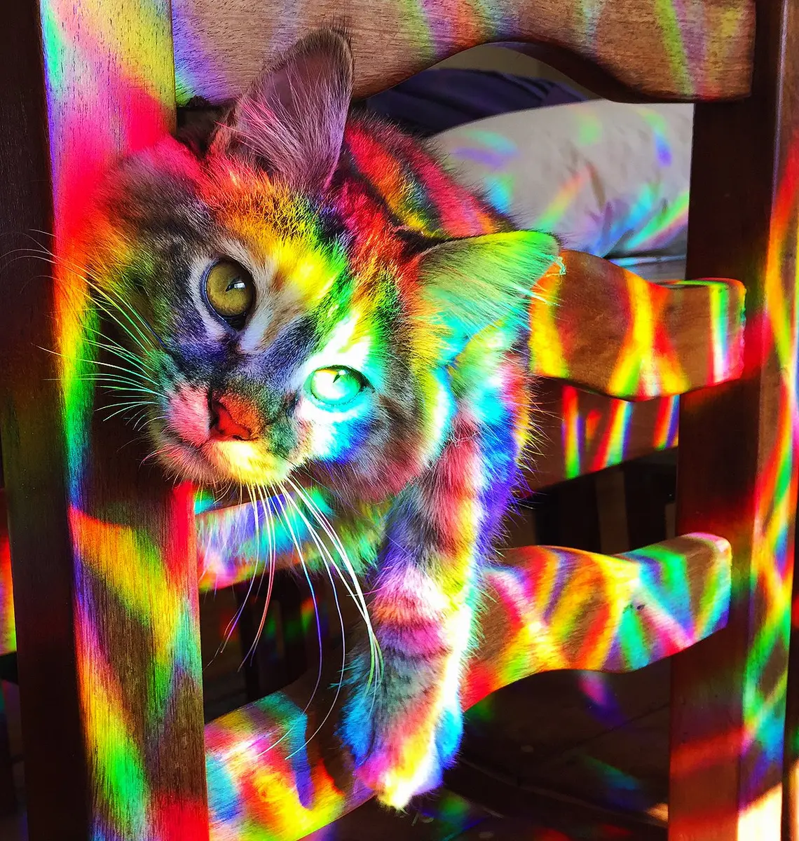 Rainbow Symphony Rainbow Window Suncatcher – Prism Light Catcher for Windows Creates Vibrant Rainbows – 4" Hanging Sun Catcher with Axicon Pattern and Bonus Decal – Made in USA - view 2