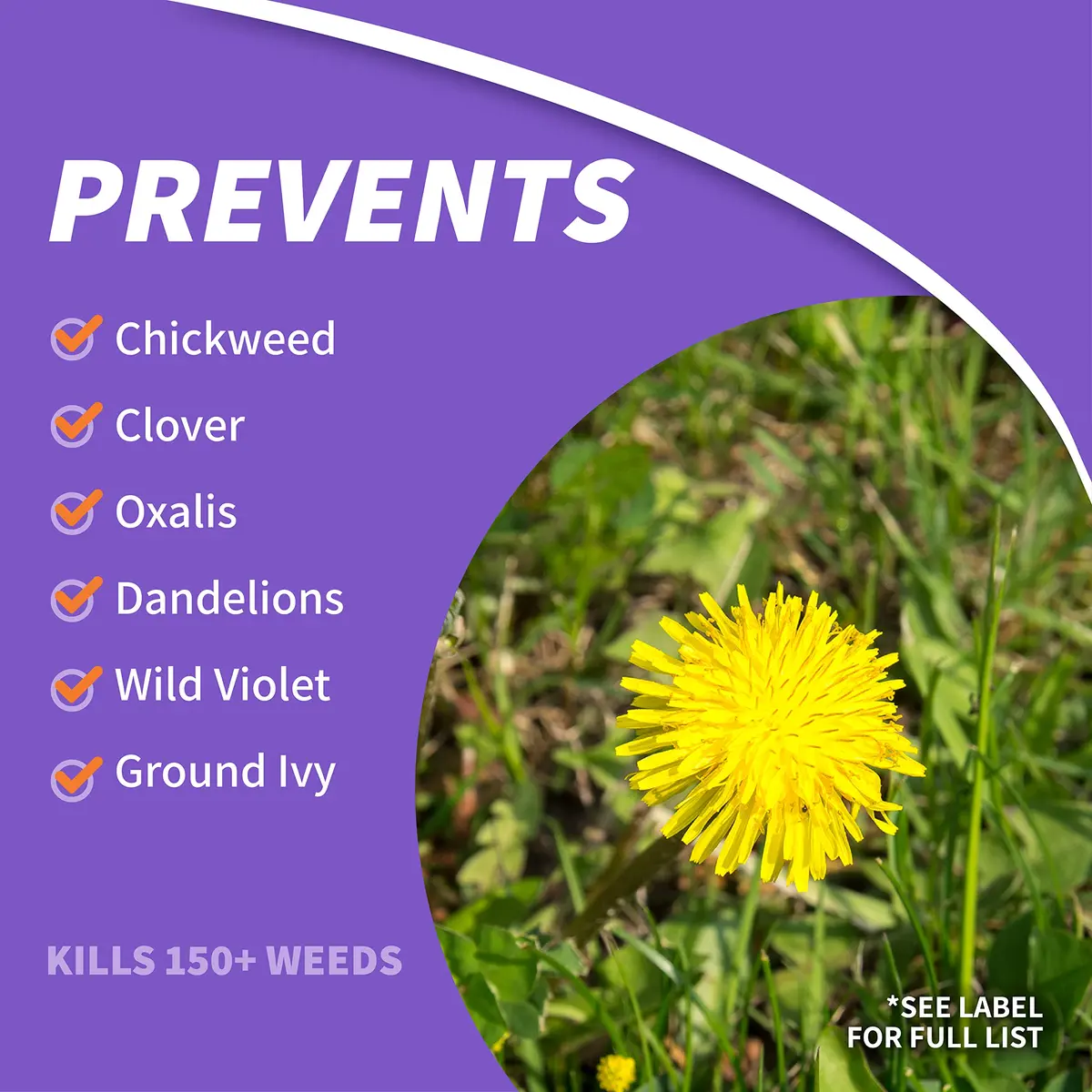 Bonide Chickweed, Clover & Oxalis Killer, 16 oz Concentrate | Powerful Weed Control for Lawns - view 3