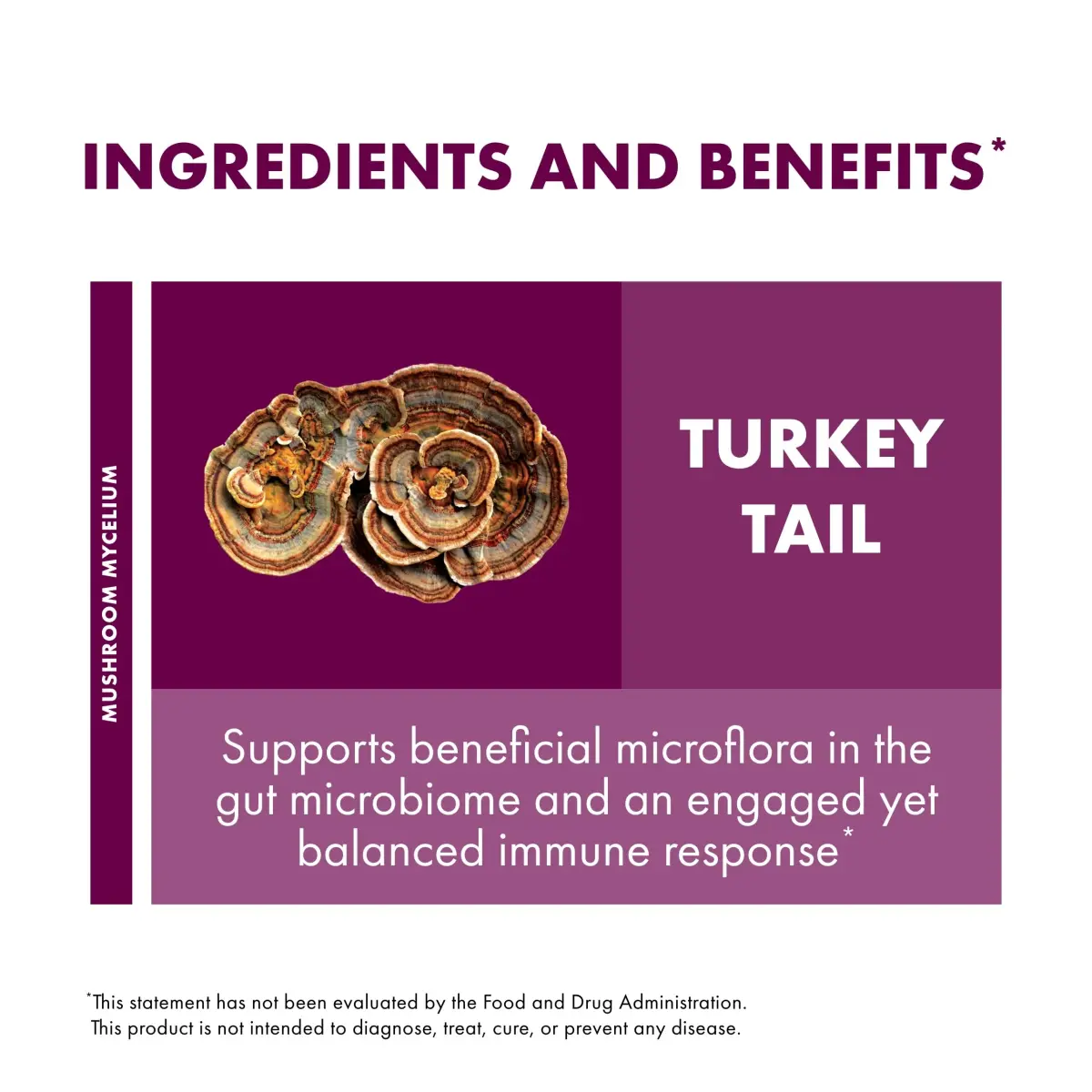 Host Defense Turkey Tail Capsules 120 Count | Digestive Health & Immune Response Support - view 6