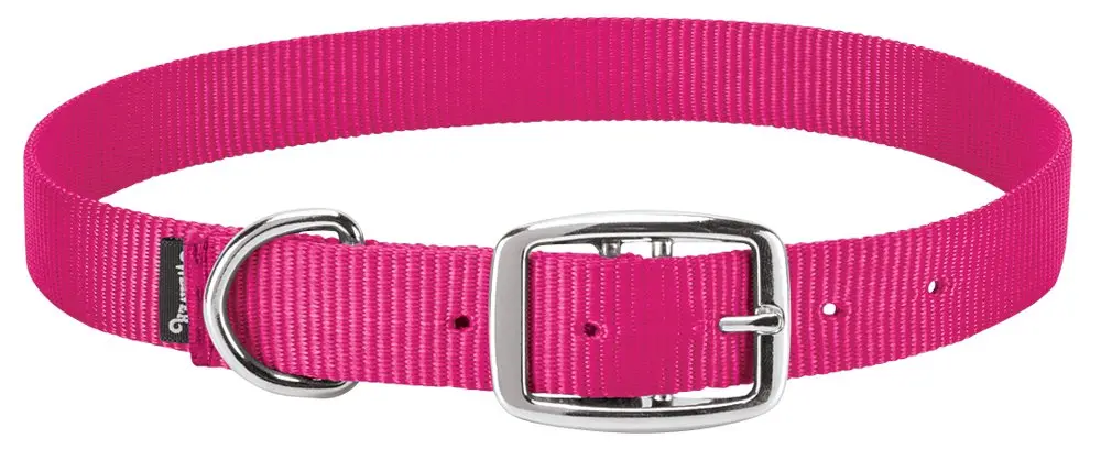 Weaver Livestock Goat Collar, Pink Fusion, Small | Durable nylon with nickel hardware - main product image