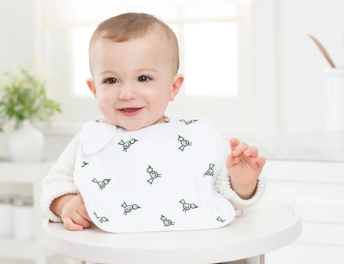 aden + anais Snap Bib 3 Pack 25cm x 32.5cm | Soft Cotton Muslin for Baby & Toddler - view 3
