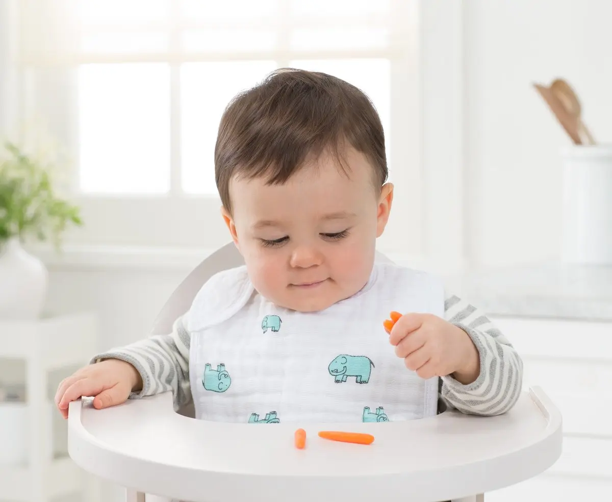 aden + anais Snap Bib 3 Pack 25cm x 32.5cm | Soft Cotton Muslin for Baby & Toddler - view 4