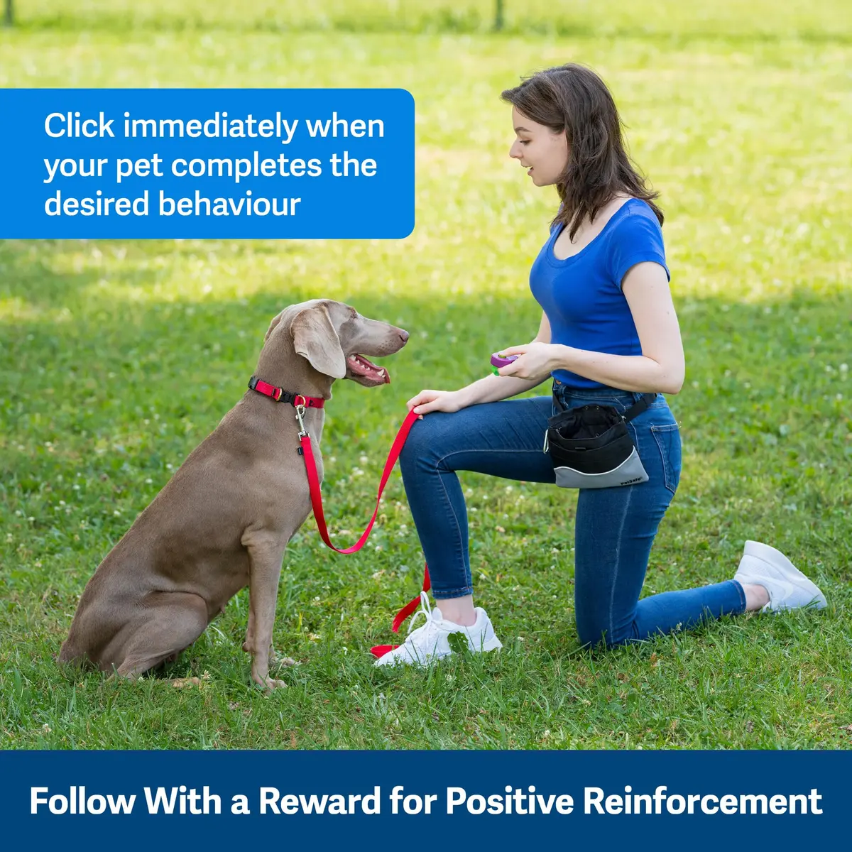 PetSafe Clik-R Dog Training Clicker, Purple | Ergonomic & Comfortable for All Ages - view 6