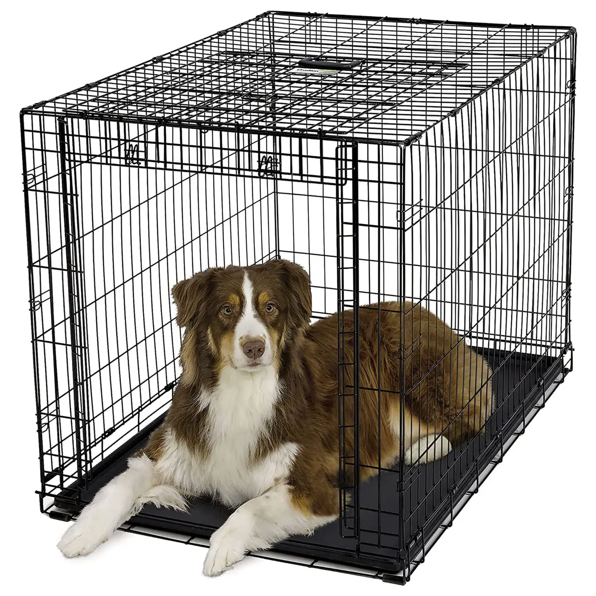 MidWest Homes for Pets Large Ovation Single Door Folding Dog Crate 43.5"L x 28.5"W x 30.5"H | Space-Saving Patented Door - view 6