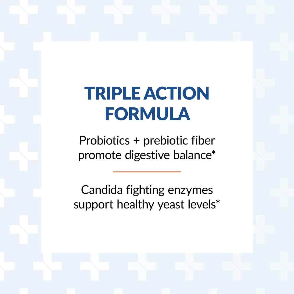 Arthur Andrew Medical Syntol AMD Probiotic Multi-Enzyme 360 Count | Digestive Wellness & Candida Support - view 7