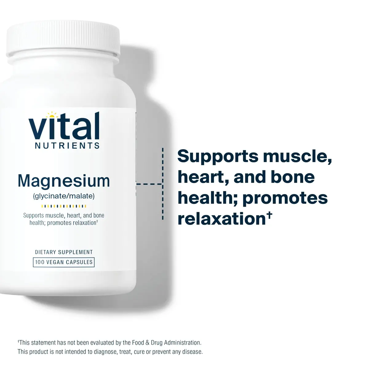 Vital Nutrients Magnesium Glycinate + Malate 240mg | Supports Heart & Bone Health, 100 Capsules - view 3