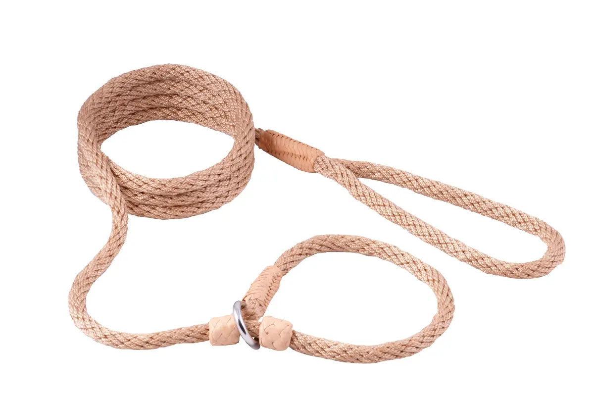 Alvalley Nylon Dog Training Leash with 2 Stoppers 1.83 m (6 ft) | Soft Handle, Braided Leather Ends - main product image