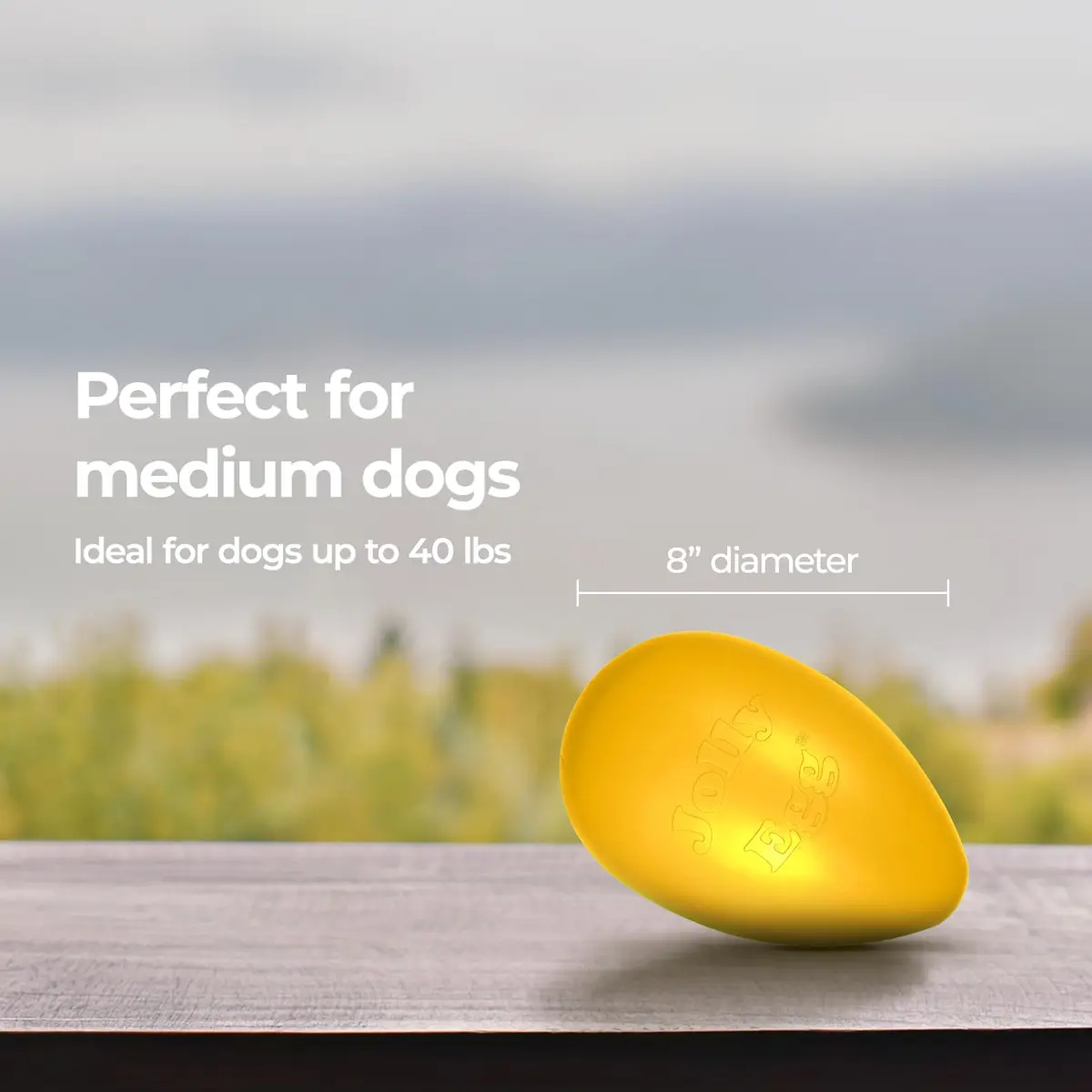 Jolly Pets Jolly Egg Herding Dog Toy, 8-inch (20.3 cm) Yellow | Unpredictable Chase & Float Fun - view 6