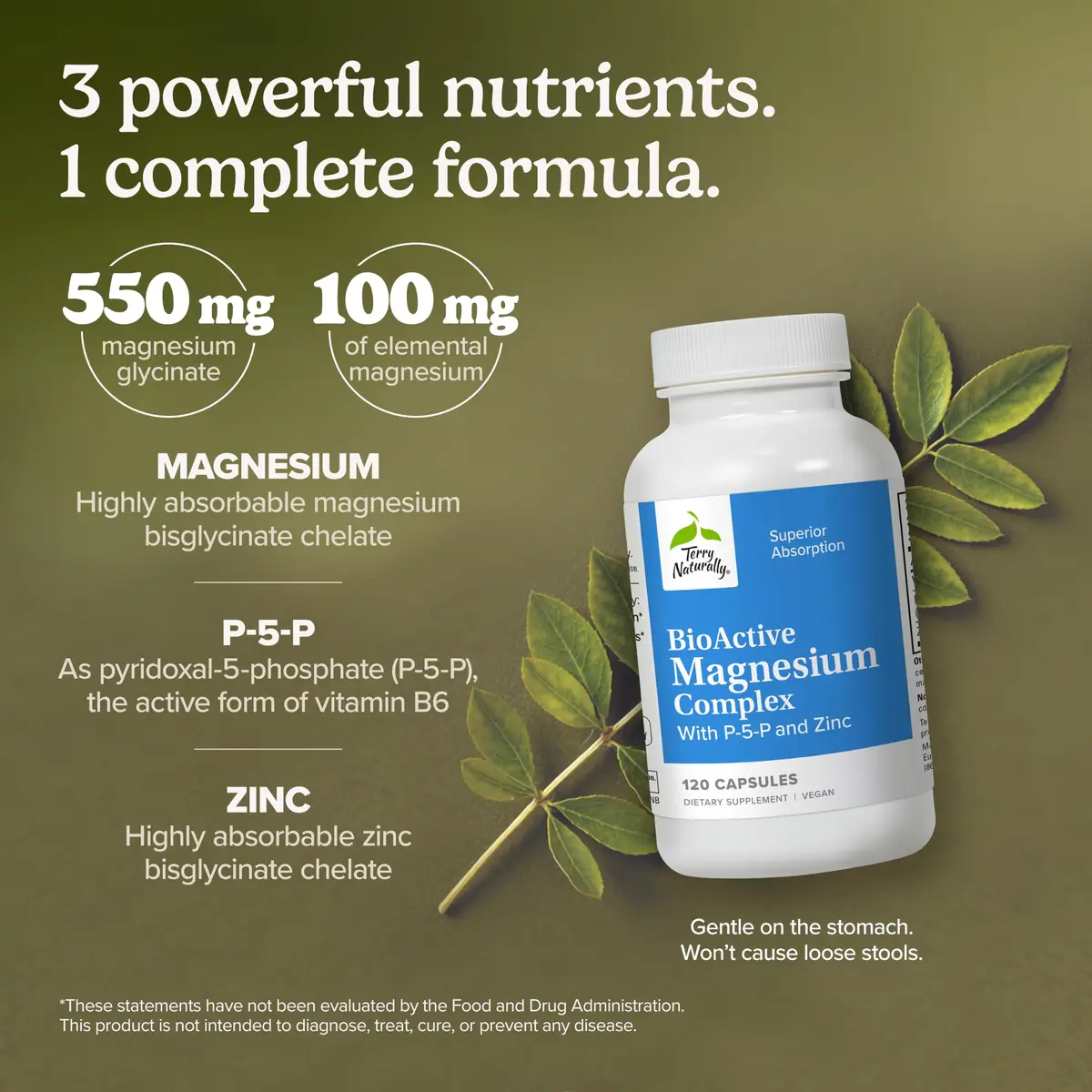 Terry Naturally BioActive Magnesium Glycinate 550mg | Supports Sleep & Stress, 120 Vegan Capsules - view 3