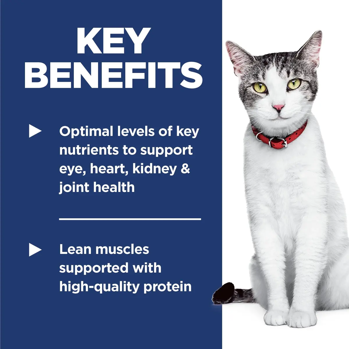 Hill's Science Diet Senior 11+ Dry Cat Food Chicken Flavor 7.07 kg (15.5 lb) | Supports Senior Cat Health and Vitality - view 3