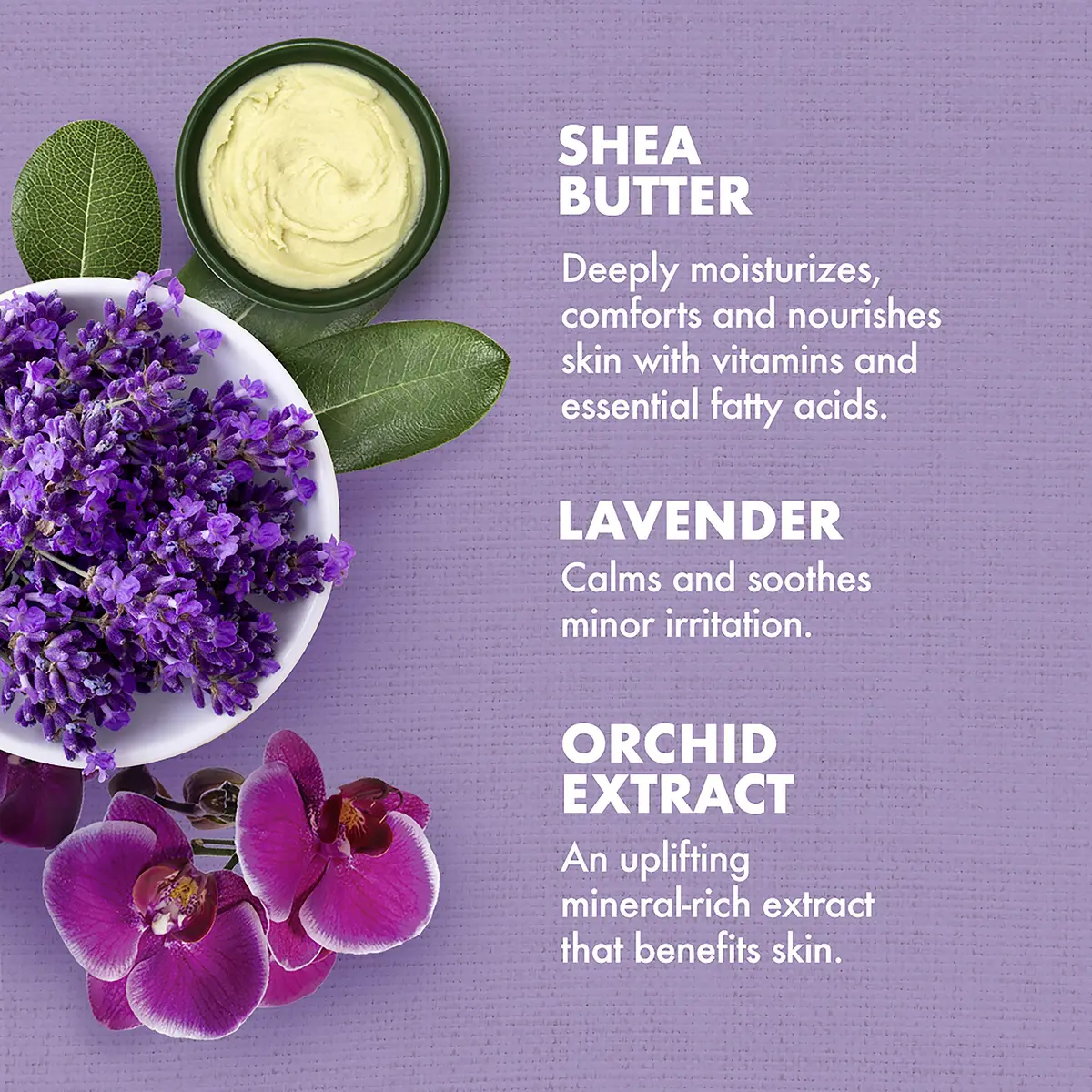 SheaMoisture Lavender Wild Orchid Bath Body Massage Oil 237ml (8 Fl Oz) | Calming Moisturizer for Sensitive Skin - view 3