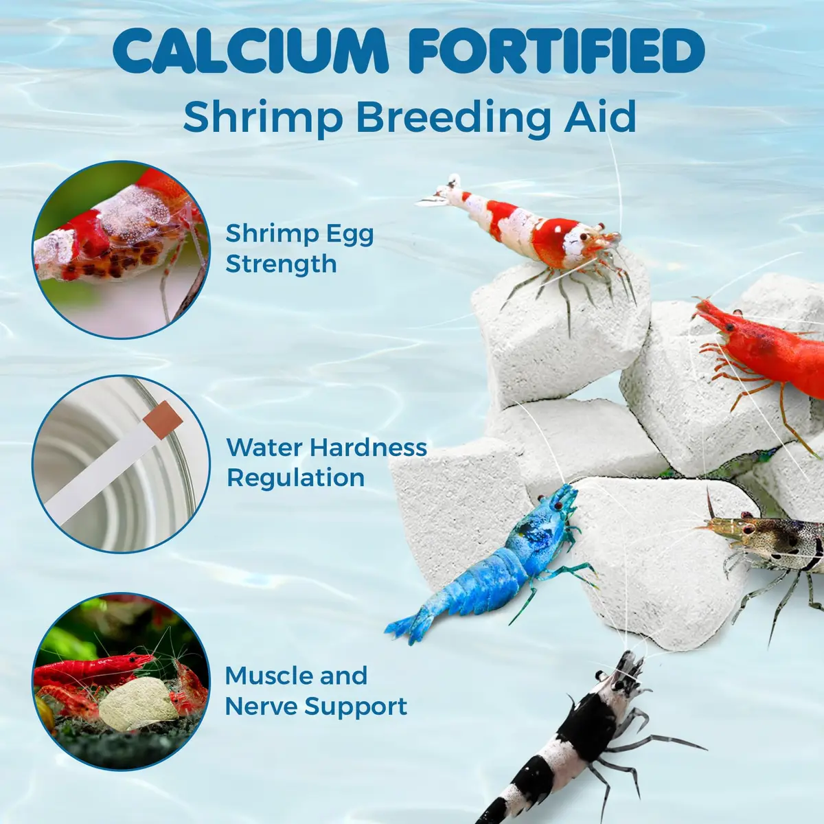 SunGrow Shrimp Rocks - Calcium & Magnesium for Crustaceans, 60g (2 oz) | Enhances Color & Shell Health - view 3