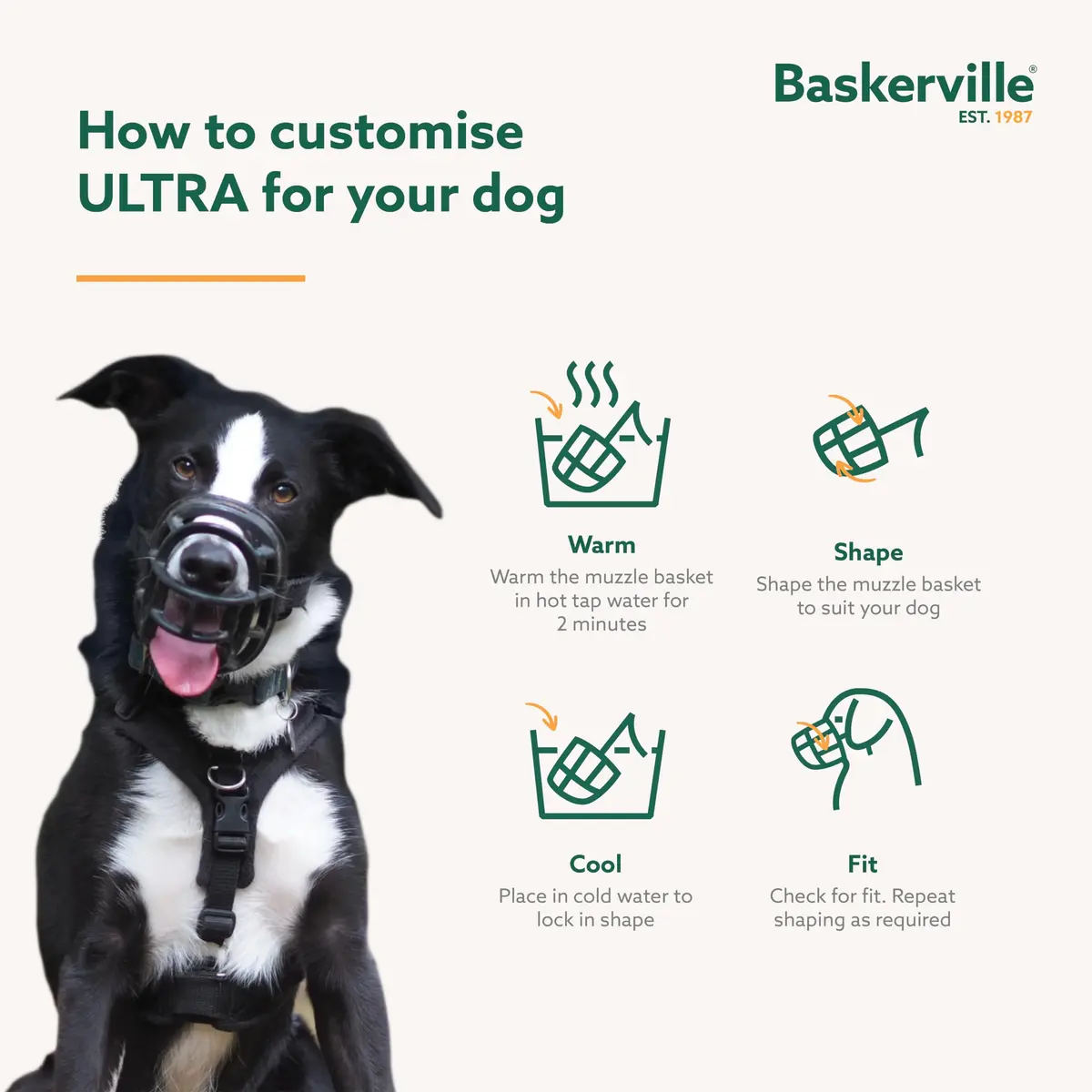 Baskerville ULTRA Dog Muzzle Size 2 | Humane Fit for Small & Medium Dogs - view 4