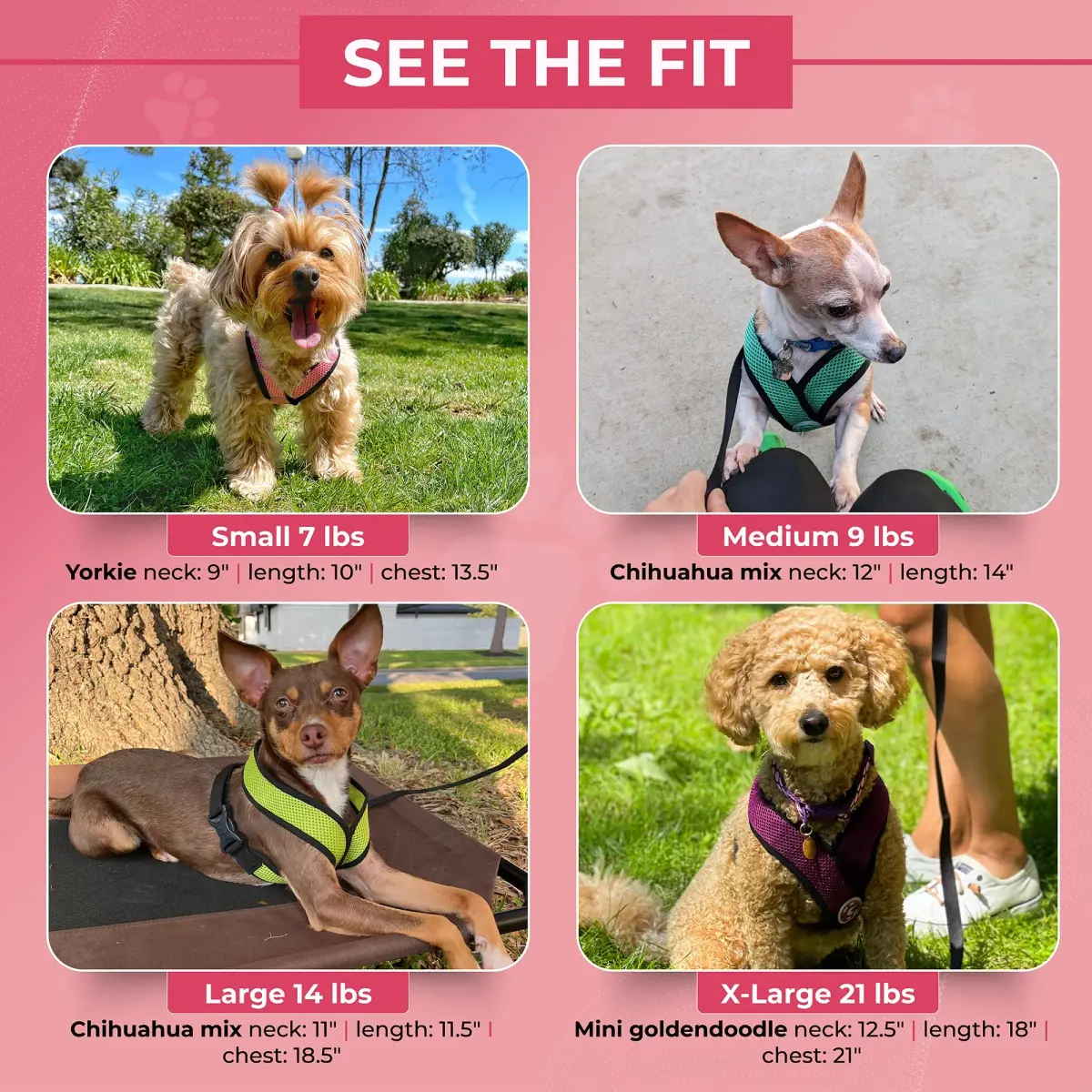 Gooby Comfort X Head-in Dog Harness, Choke-Free, Black, Medium (14.25-18.75" Chest) | Patented X Frame for Reduced Neck Stress - view 5