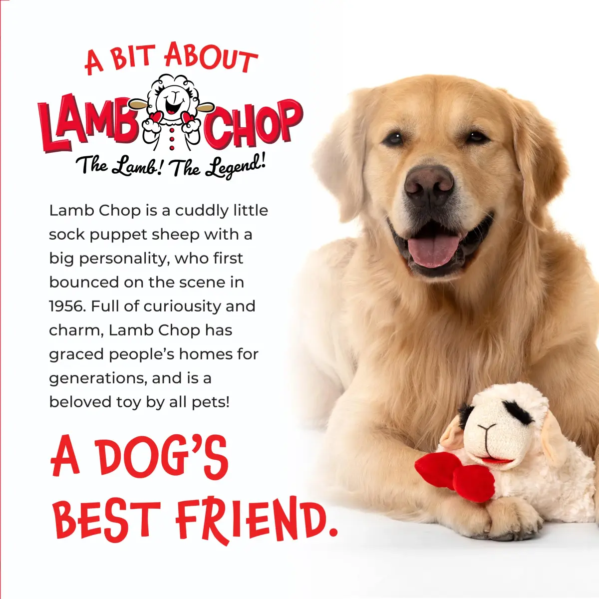 Multipet Lamb Chop Dog Plush Toy 15.24 cm (6") | Squeaky Soft Animal for All Dogs - view 8