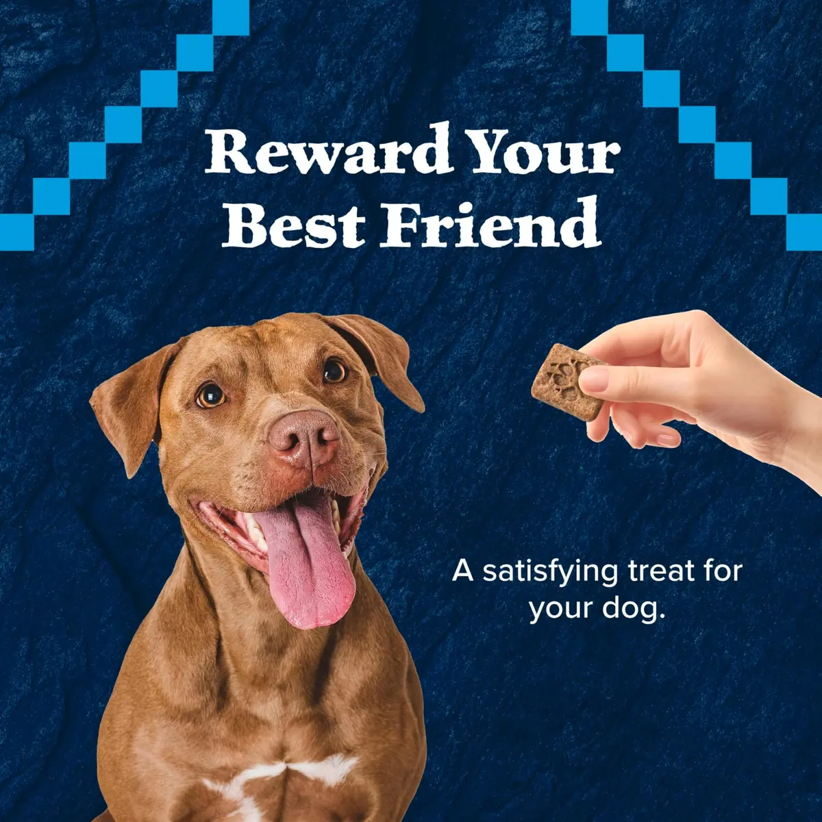 Blue Buffalo Wilderness Trail Treats Duck Crunchy Dog Biscuits 10 oz (283 g) | High Protein Grain-Free Dog Snacks - view 4