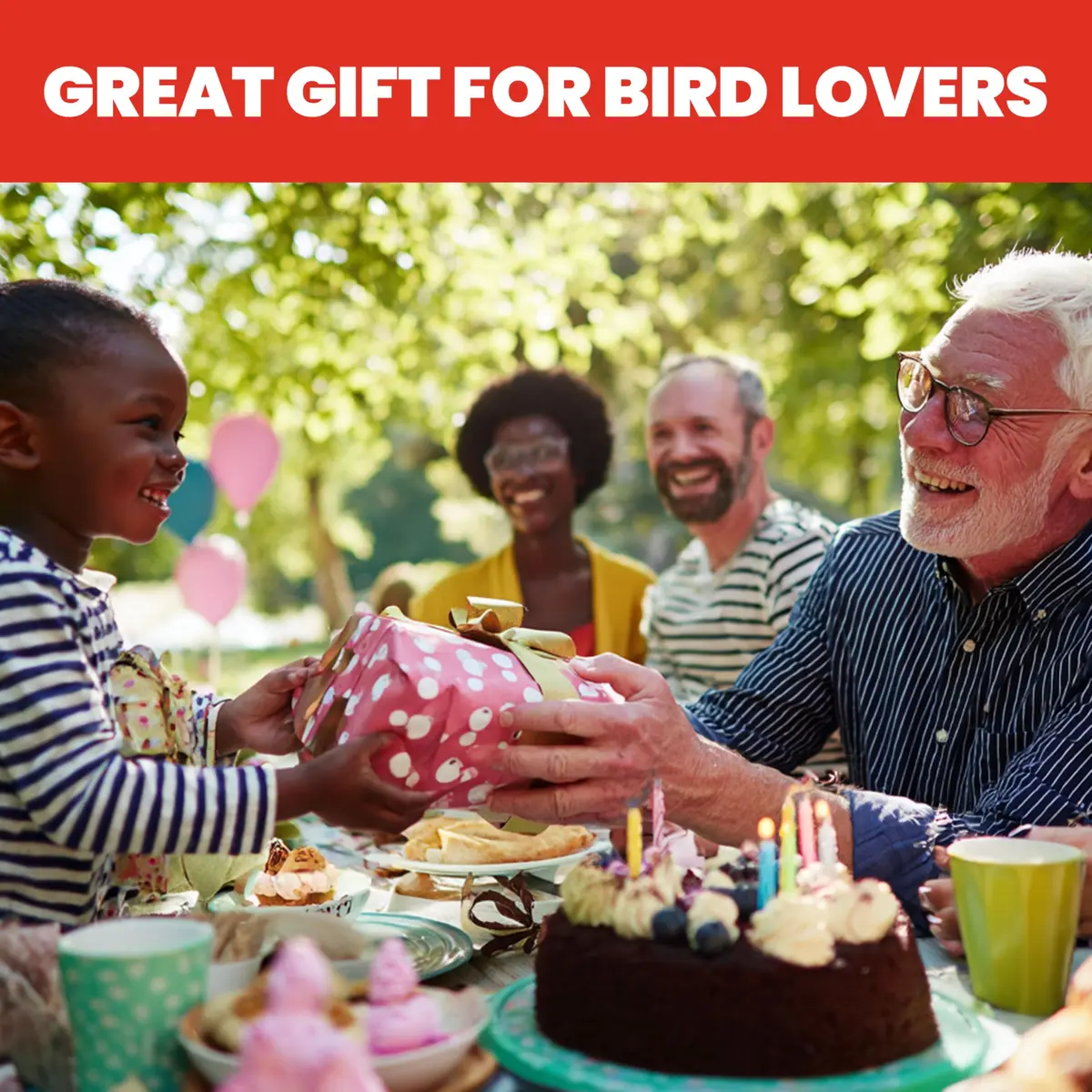 More Birds Ruby Hummingbird Feeder 295ml (10 Ounce) | Attracts More Birds with 4 Feeding Stations - view 8