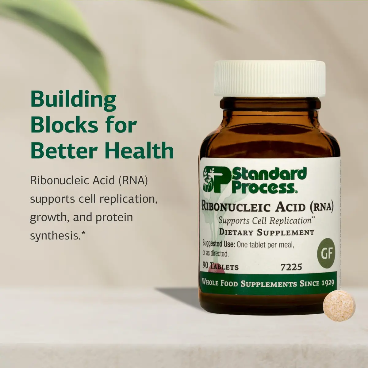 Standard Process Ribonucleic Acid RNA, Cell Development Support, 90 Tablets | Supports Cell Growth & Protein Synthesis - view 3