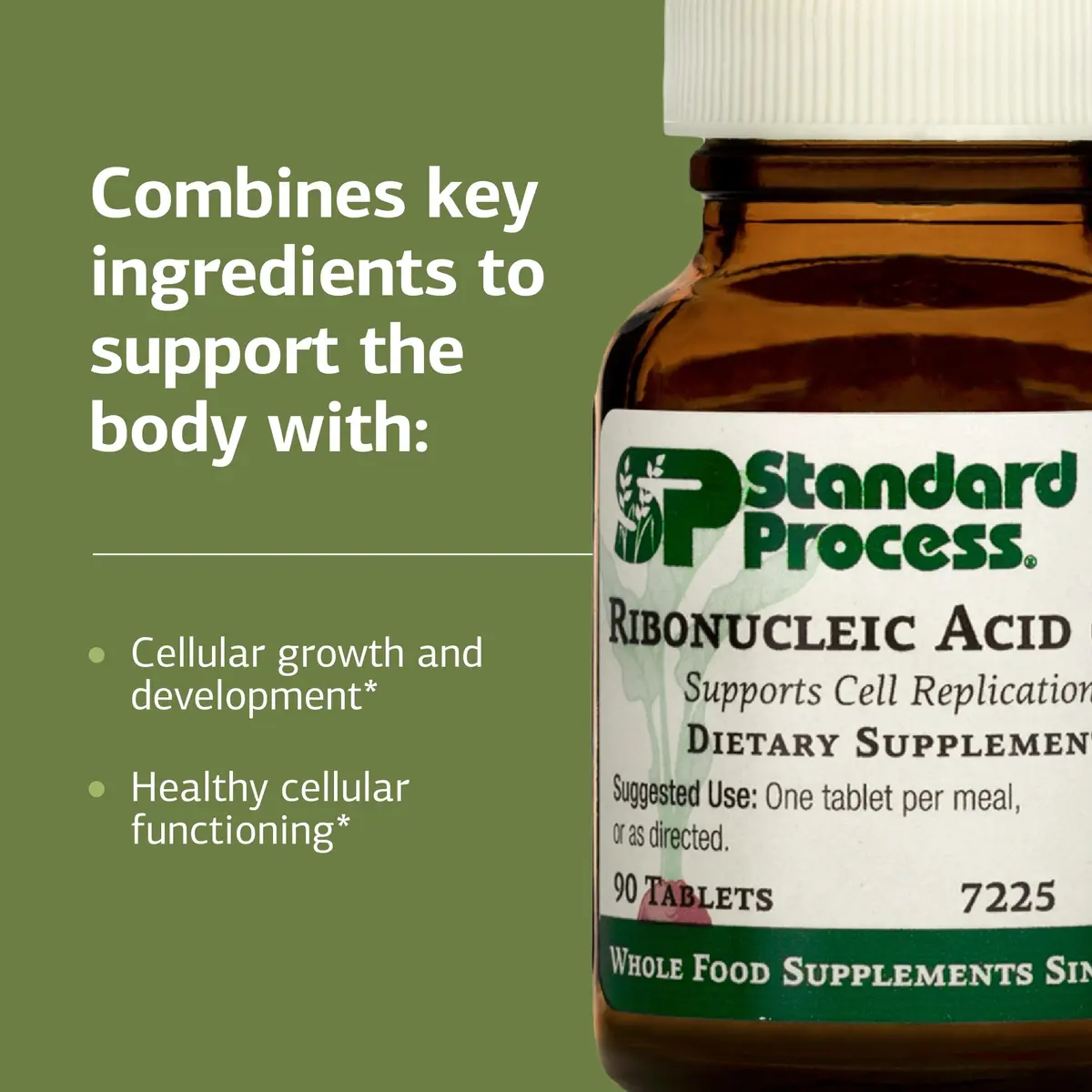 Standard Process Ribonucleic Acid RNA, Cell Development Support, 90 Tablets | Supports Cell Growth & Protein Synthesis - view 4