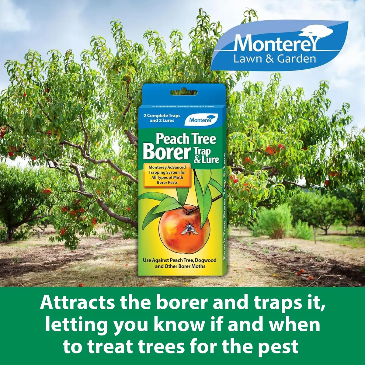 Monterey Peach Tree Borer Trap & Lure - 2 Pack | Effective Pest Control Device for Monitoring & Mass Trapping - view 2
