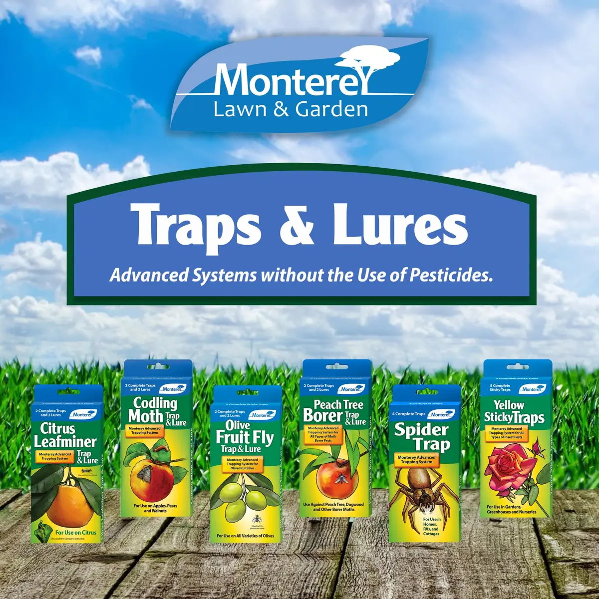 Monterey Peach Tree Borer Trap & Lure - 2 Pack | Effective Pest Control Device for Monitoring & Mass Trapping - view 3