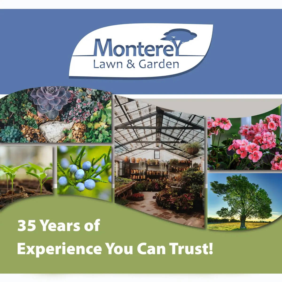 Monterey LG8920 Citrus Leafminer Trap and Lure | Organic Monitoring System for Citrus Trees - view 7