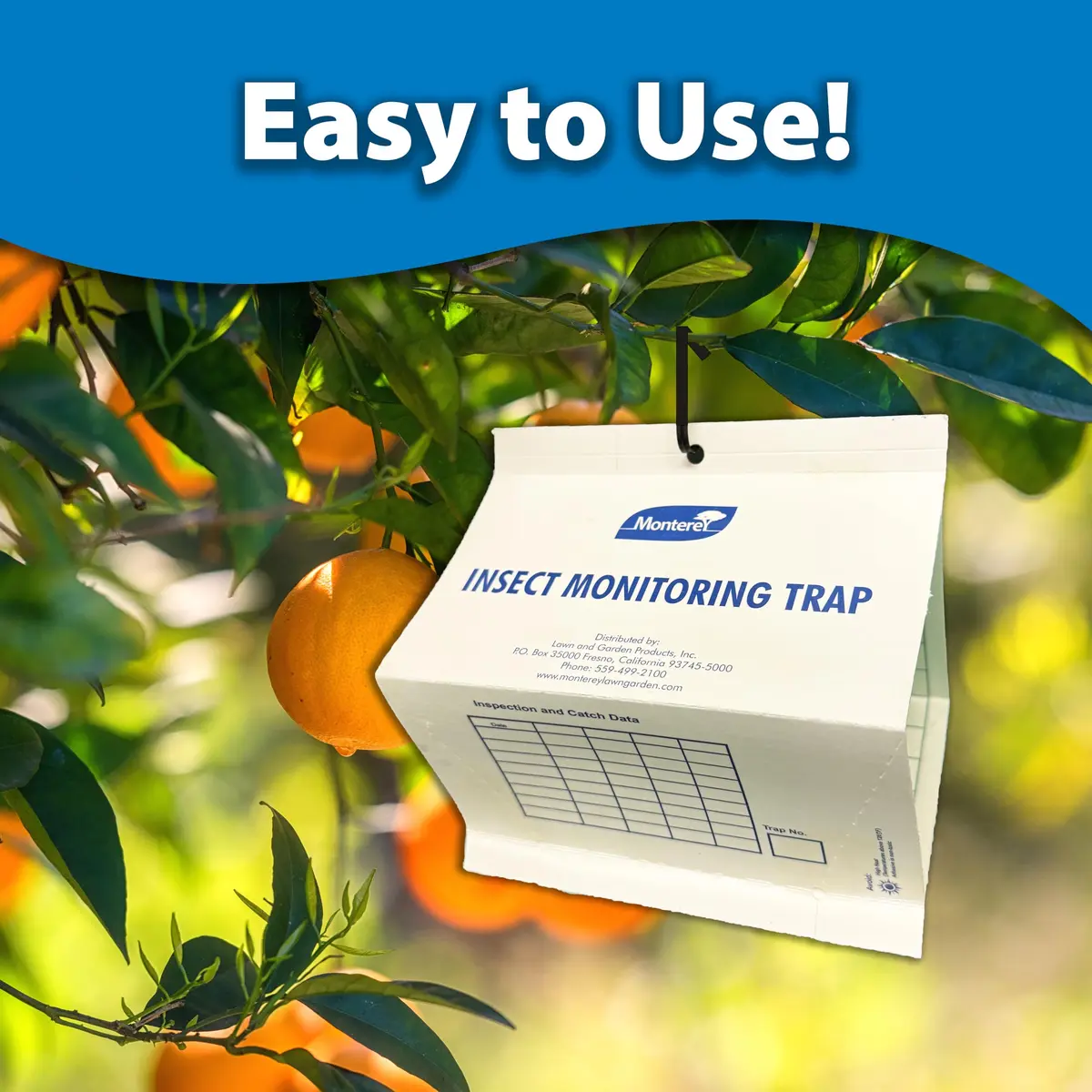 Monterey LG8920 Citrus Leafminer Trap and Lure | Organic Monitoring System for Citrus Trees - view 2