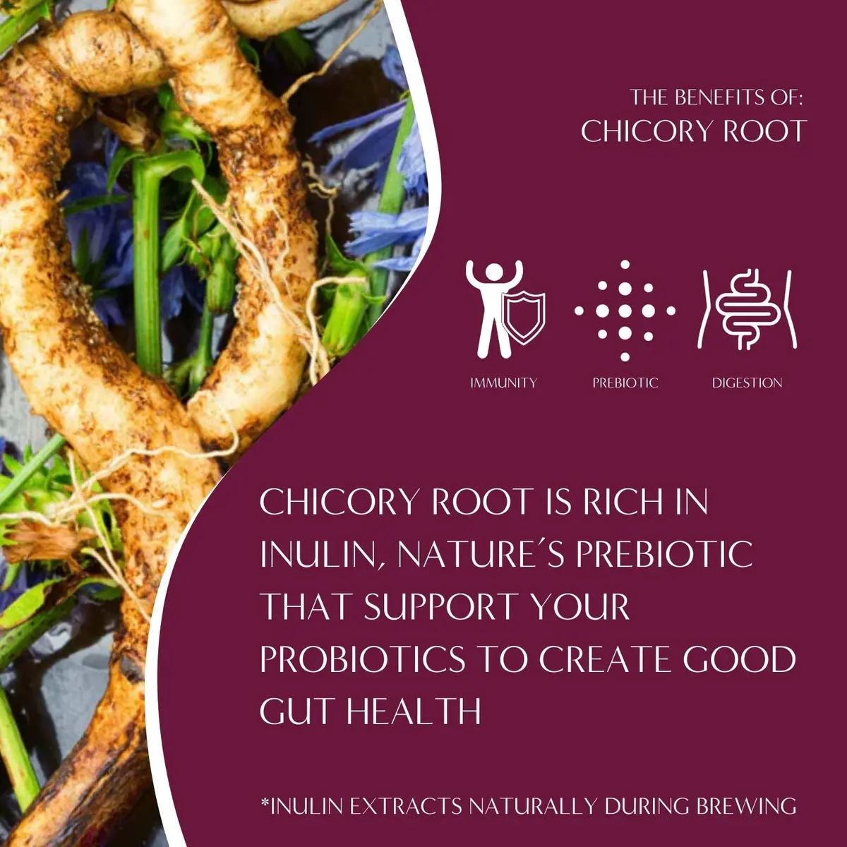 Teeccino Mocha Chicory Coffee Alternative - 11 Ounce - Ground Herbal Coffee That’s Prebiotic, Caffeine-Free & Acid Free, Medium Roast - view 6
