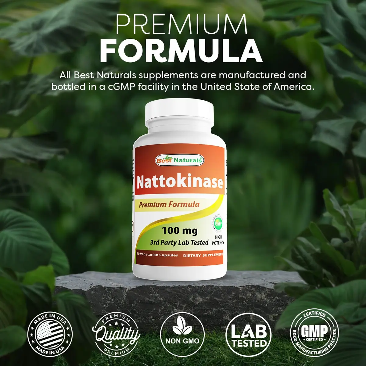 Best Naturals Nattokinase 2000 FU 100 Mg | Circulatory Support Vegetarian Capsules - view 5