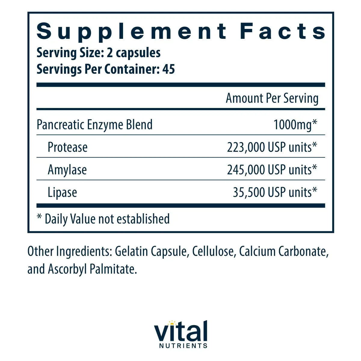 Vital Nutrients Pancreatic Enzymes 1,000mg 90 Capsules | Digestive Health Support with Protease, Amylase & Lipase - view 2