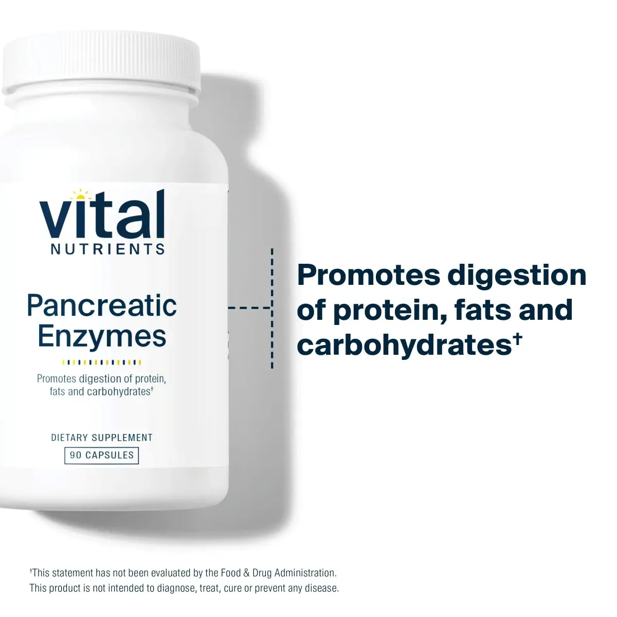 Vital Nutrients Pancreatic Enzymes 1,000mg 90 Capsules | Digestive Health Support with Protease, Amylase & Lipase - view 3