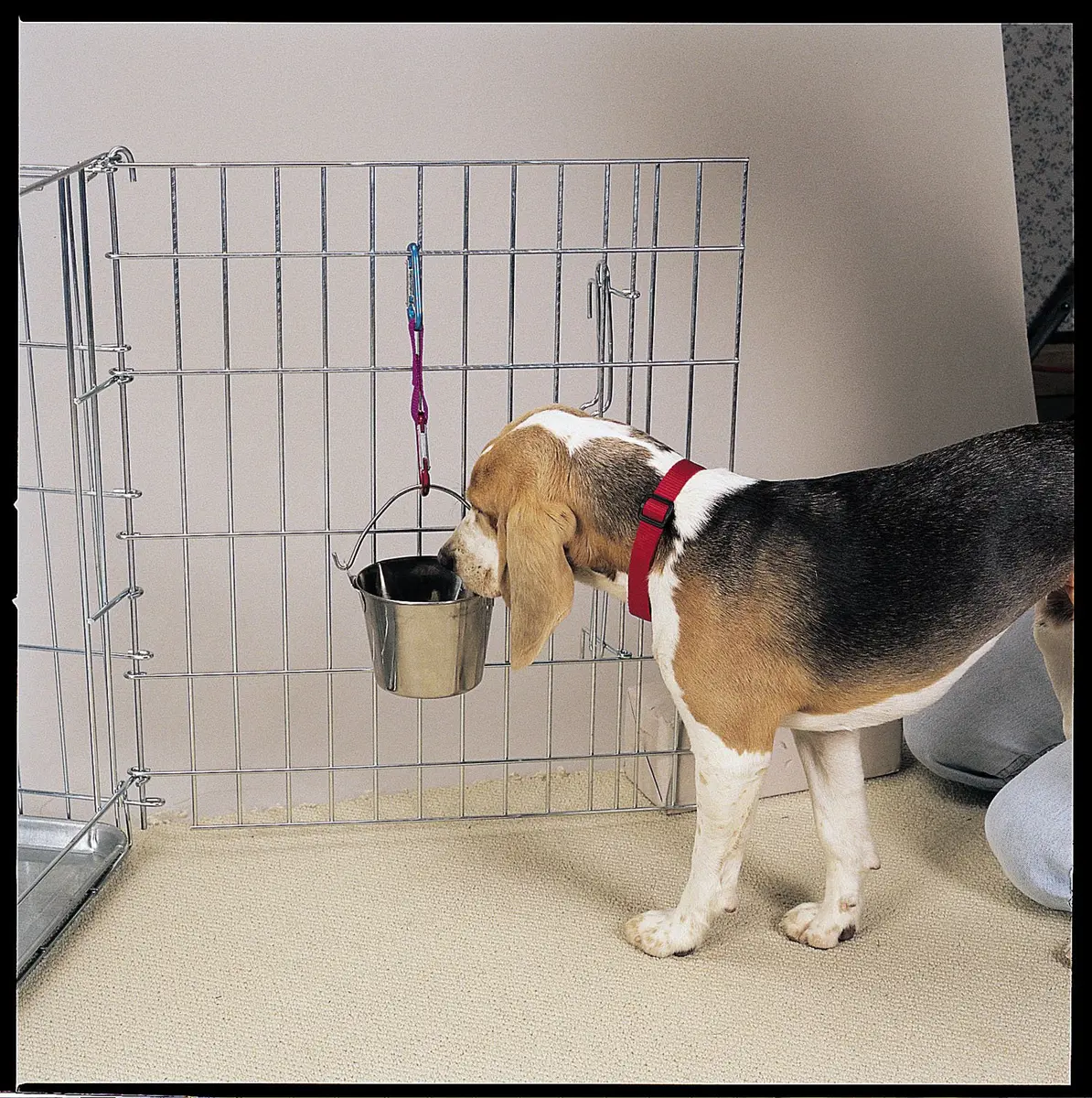 Pro Select Stainless Steel Flat Sided Pails — Durable Pails for Fences, Cages, Crates, or Kennels - 8¾", 6-Quart - view 2