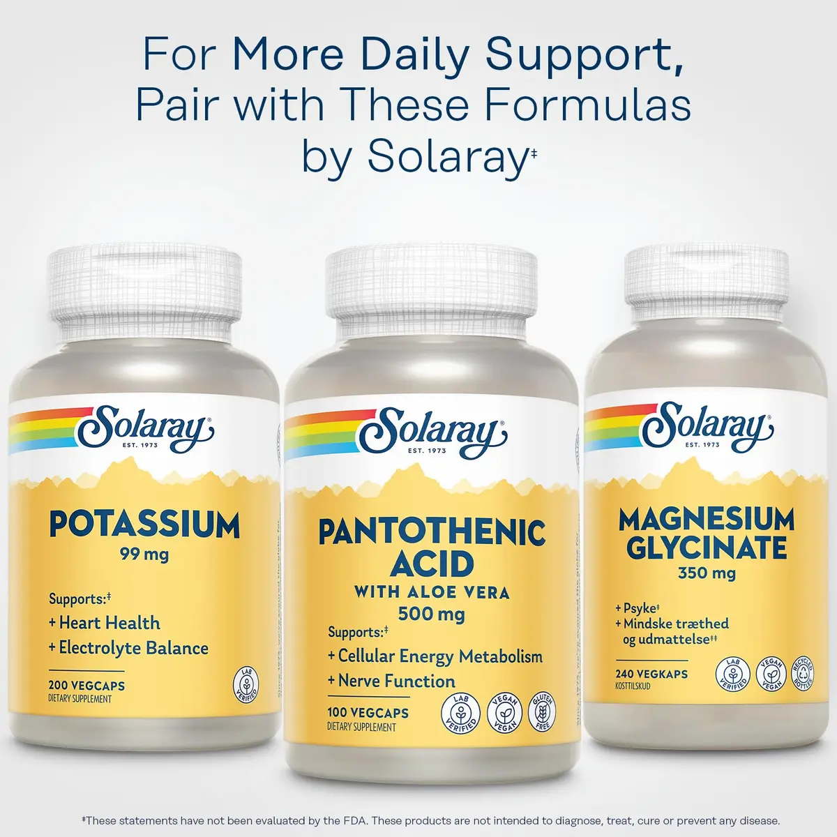 SOLARAY Pantothenic Acid 500mg | Vegan, Gluten Free, Cellular Energy Support - view 6
