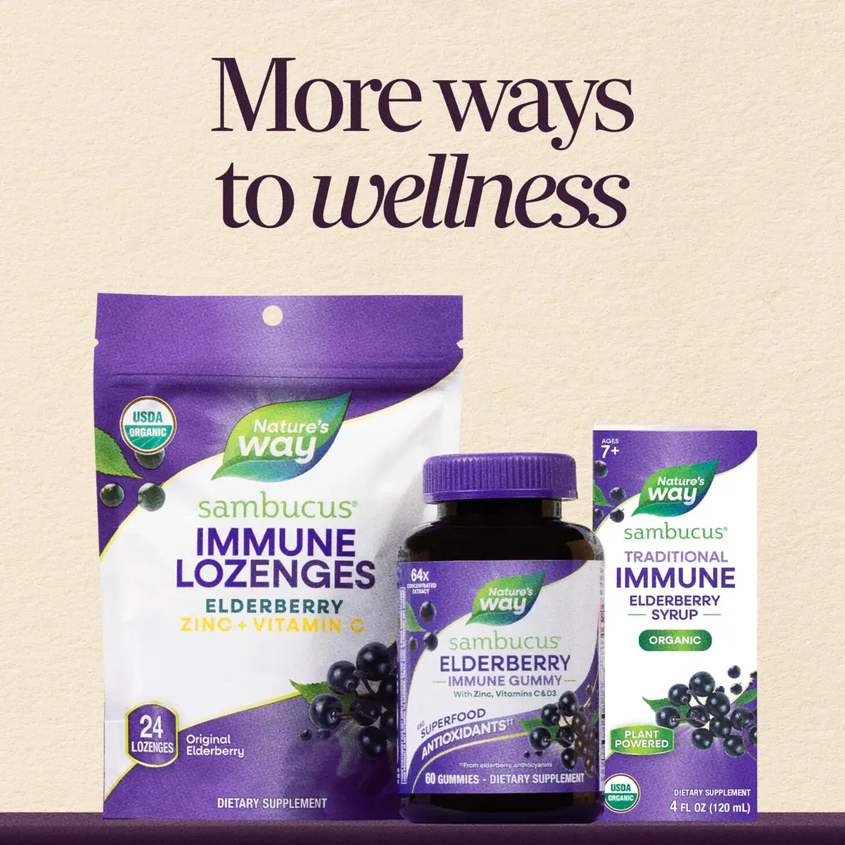 Nature's Way Sambucus Organic Elderberry Syrup 118ml (4 Fl Oz) | Traditional Immune Support - view 8