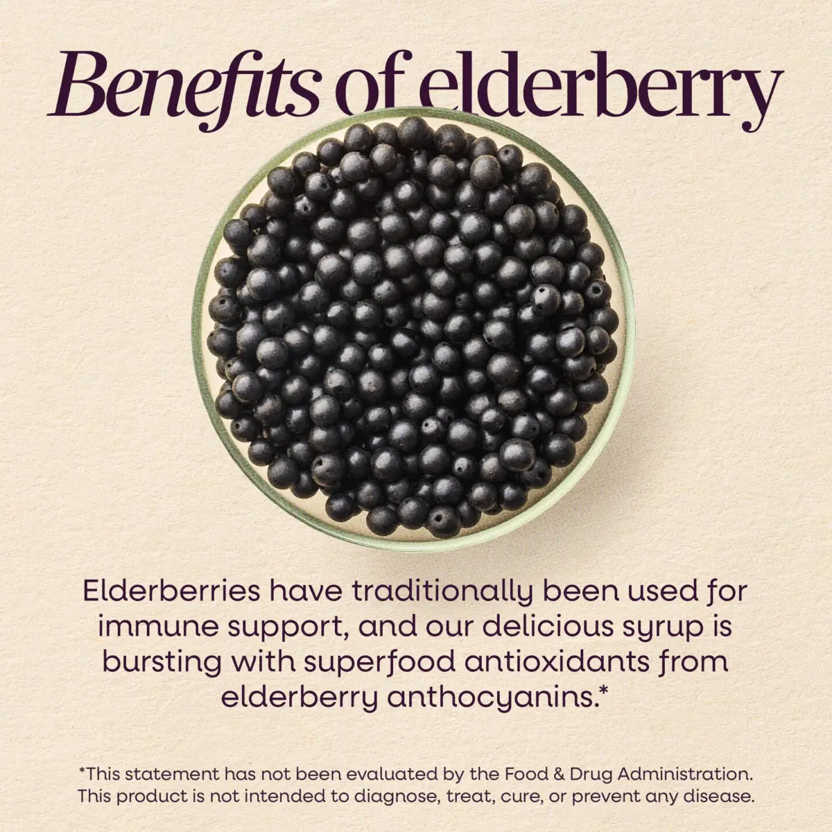 Nature's Way Sambucus Organic Elderberry Syrup 118ml (4 Fl Oz) | Traditional Immune Support - view 4