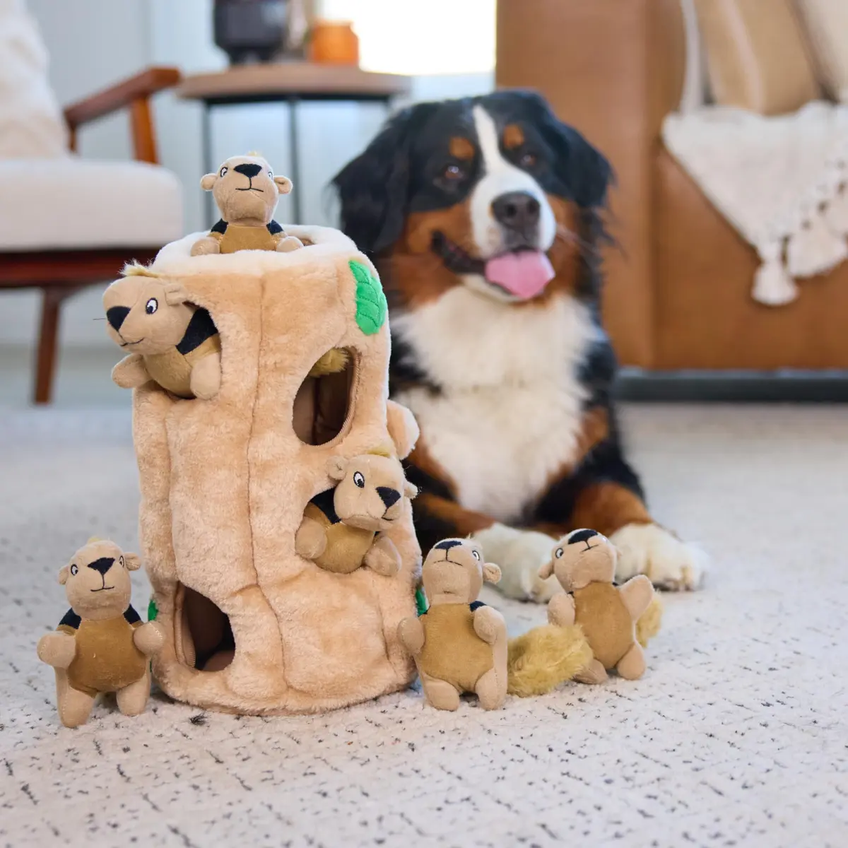 Outward Hound Hide-A-Squirrel Plush Squeaky Dog Toy XL (310g / 0.68lb) | Interactive Puzzle & Fetch Toy for Dogs - view 6