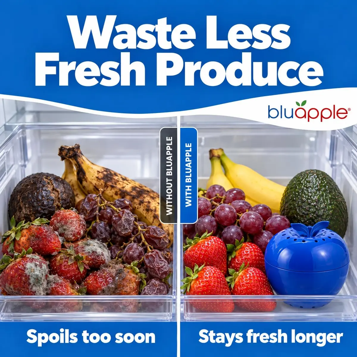 BluApple Produce Saver Ethylene Gas Absorber - Fresh Fruit & Vegetable Storage for Refrigerator Crisper, Shelves & Fruit Bowls, Produce Keeper, Fruit Saver, Kitchen Must Haves, BPA-Free - 2-Pack - view 3