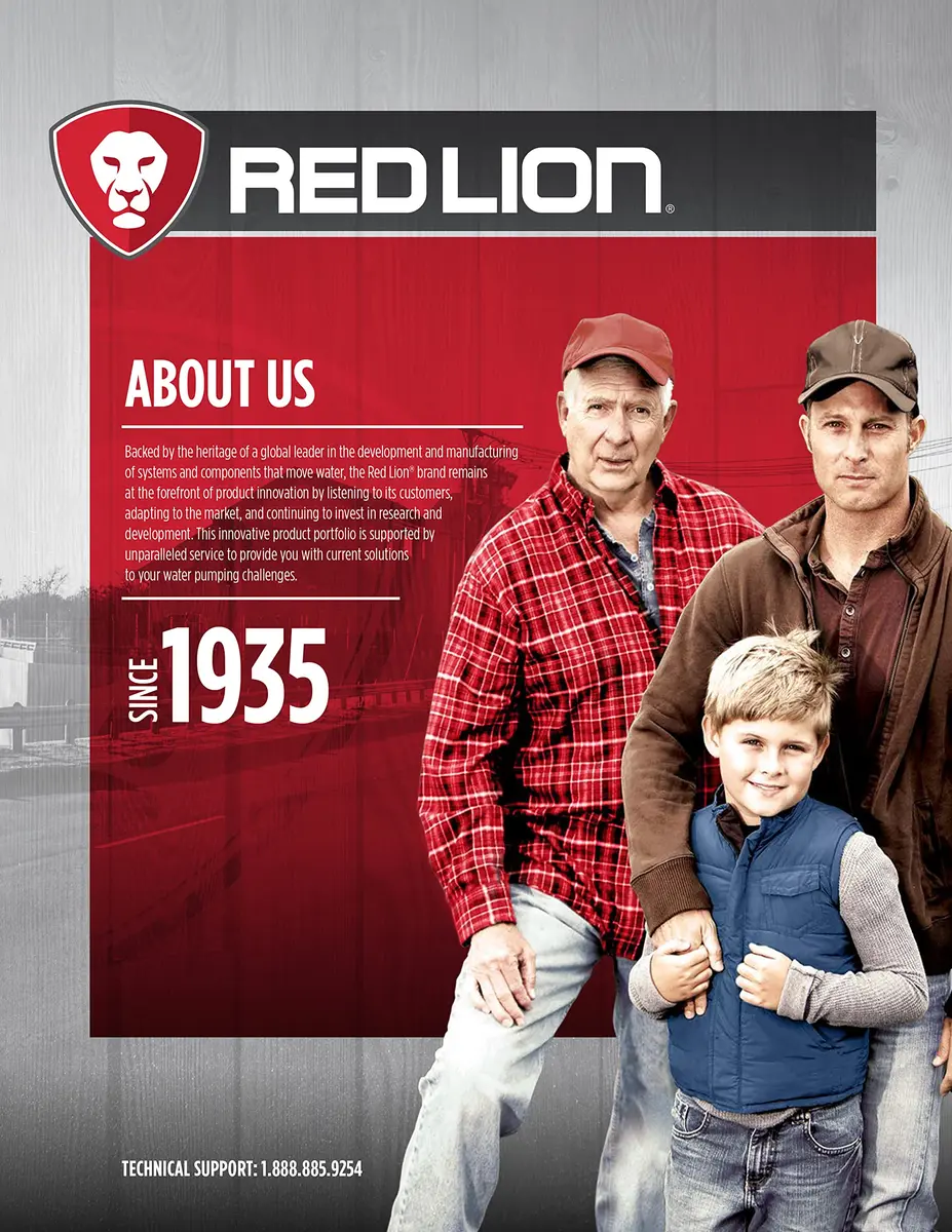 Red Lion Control Box for 4" Submersible Well Pumps | 3/4 HP, 230V, Weather-Resistant - view 10