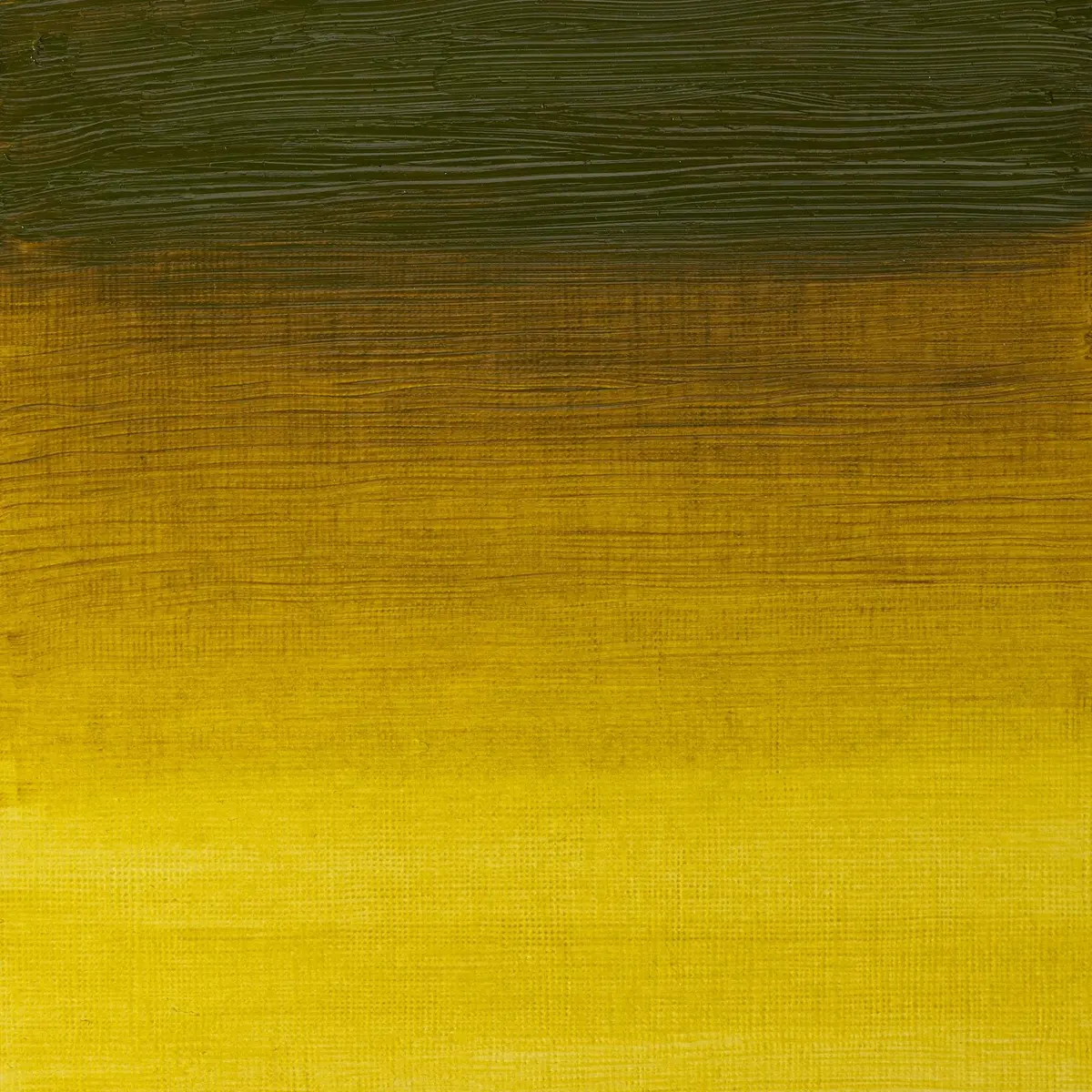 Winsor & Newton Artists' Oil Paint, 37ml Tube, Green Gold | Professional Quality Oil Color for Artists - view 2
