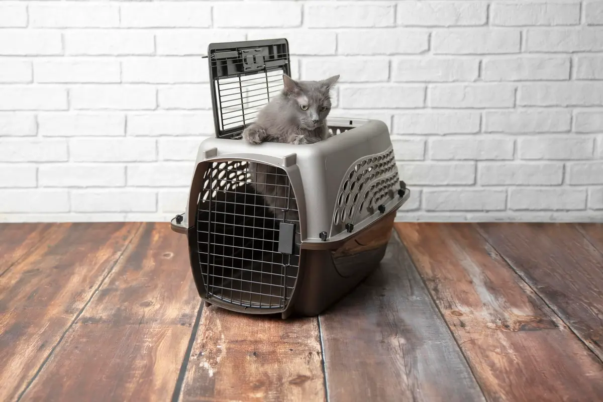 Petmate Dog Crate for Small Dogs & Cats 24in | Airline Approved, Easy to Clean, Durable Plastic - view 4