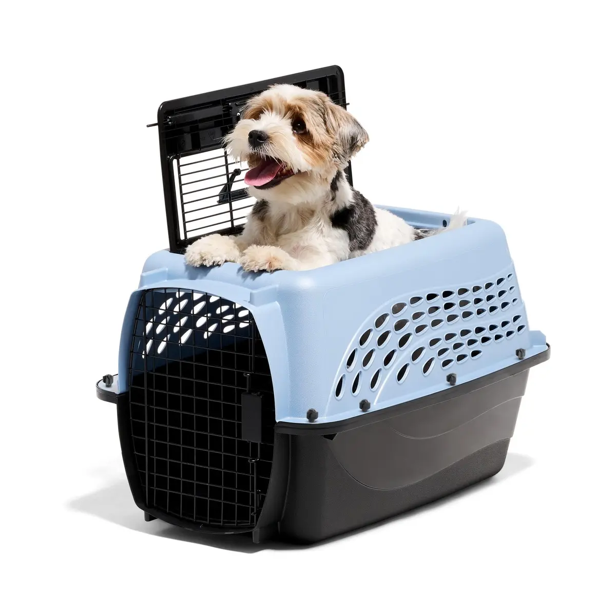 Petmate Two Door Plastic Pet Kennel for Small Dogs and Cats, 24in, Blue | Airline Approved Travel Carrier - main product image
