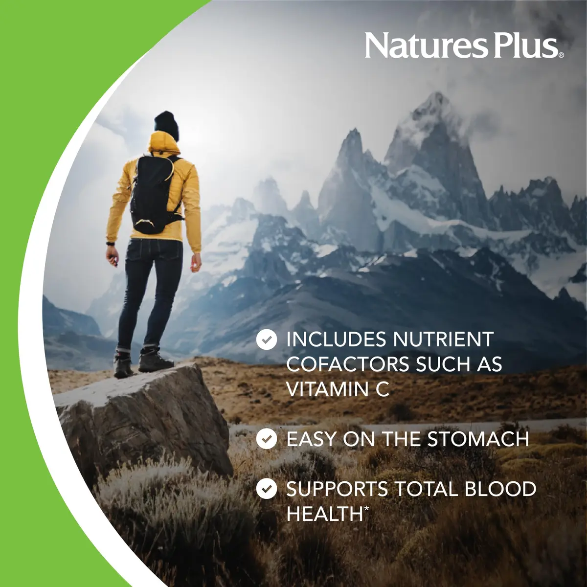 NaturesPlus Hema-Plex Iron 3 Pack | 85 mg Chelated Iron + Vitamins for Healthy Blood - view 3