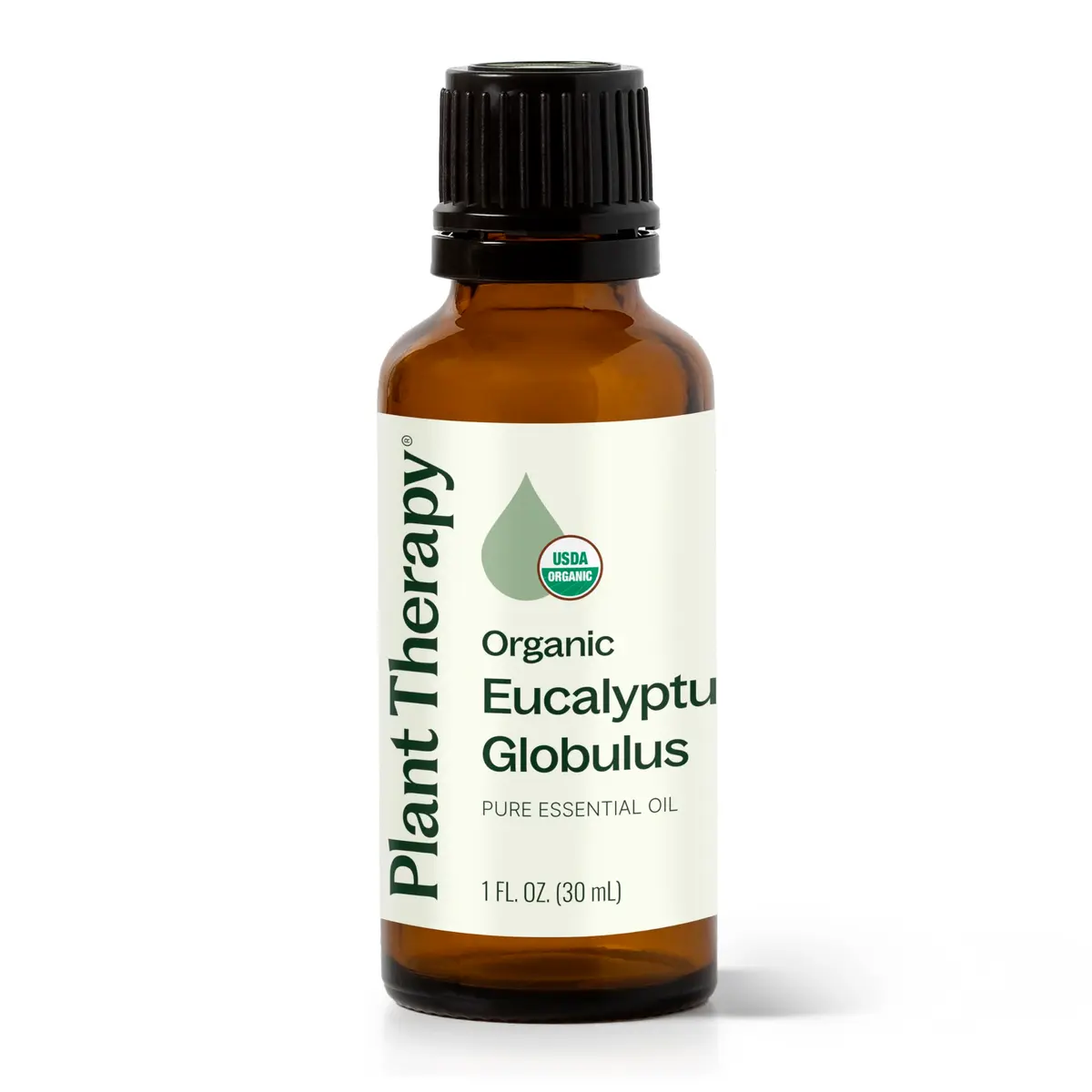 Plant Therapy Organic Eucalyptus Globulus Essential Oil 30 mL | Respiratory & Focus Support - main product image
