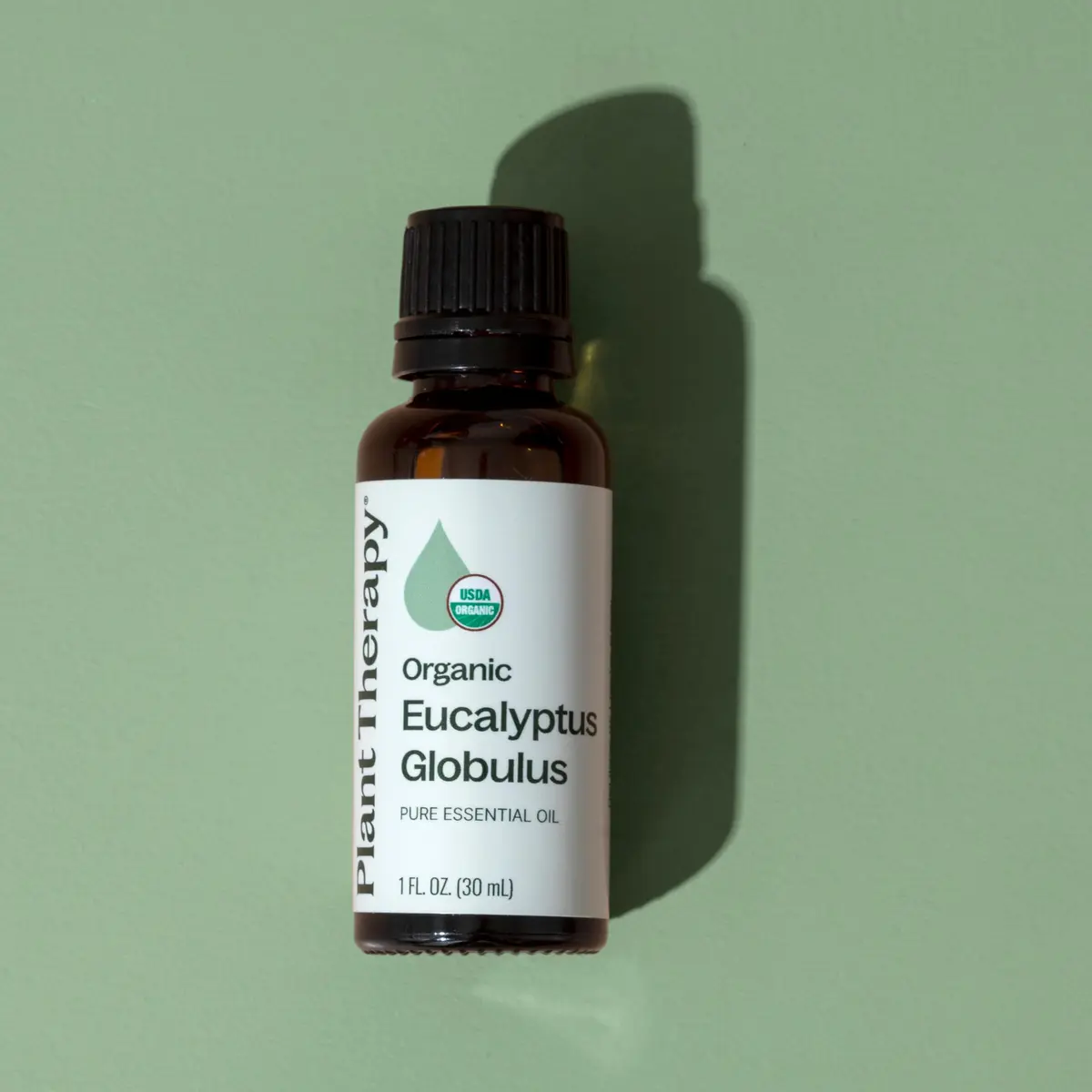 Plant Therapy Organic Eucalyptus Globulus Essential Oil 30 mL | Respiratory & Focus Support - view 6