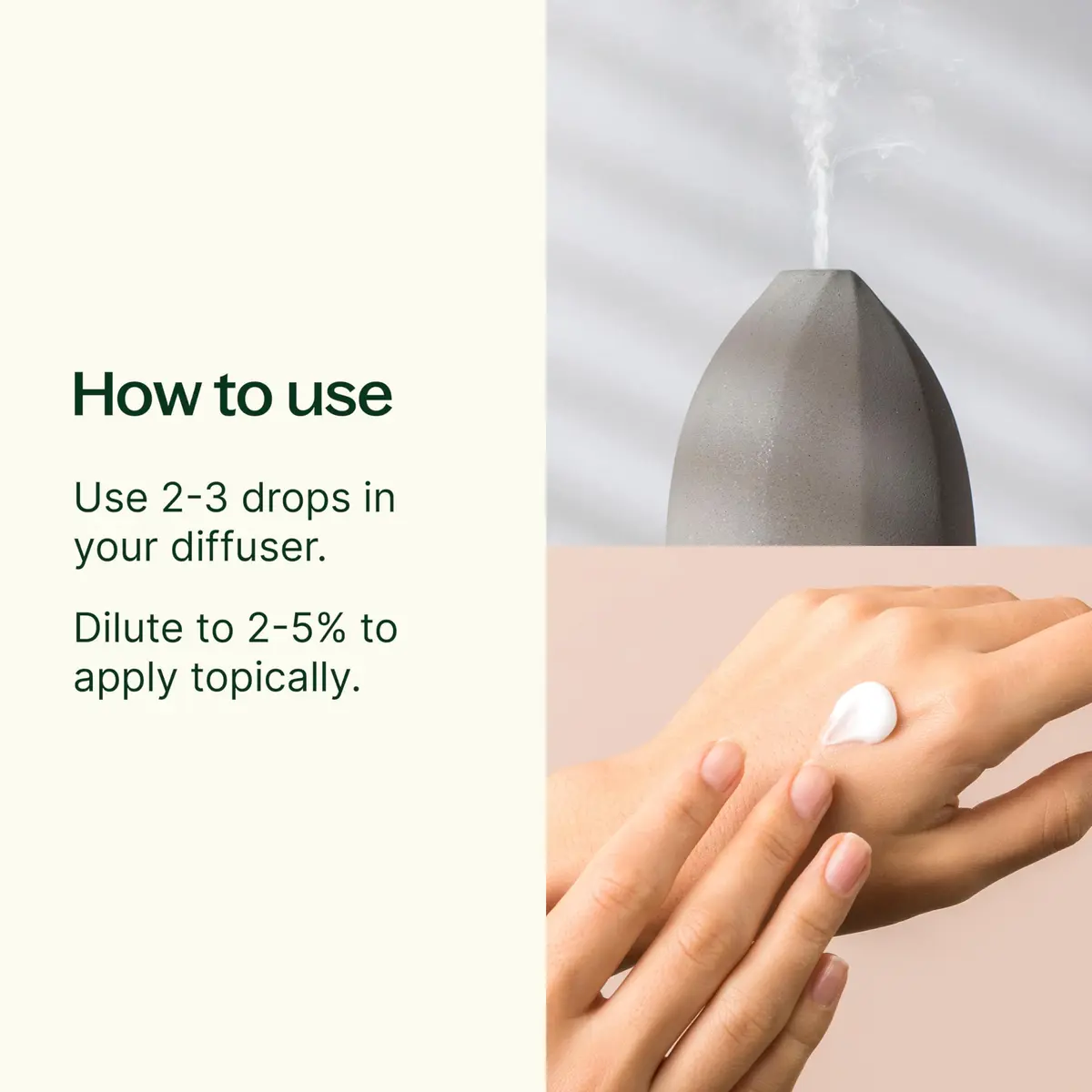 Plant Therapy Organic Eucalyptus Globulus Essential Oil 30 mL | Respiratory & Focus Support - view 2
