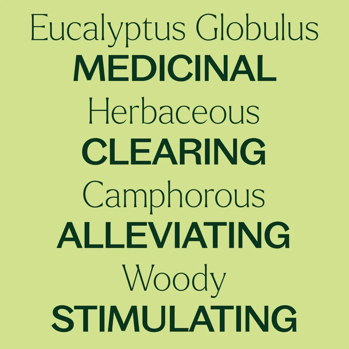 Plant Therapy Organic Eucalyptus Globulus Essential Oil 30 mL | Respiratory & Focus Support - view 4